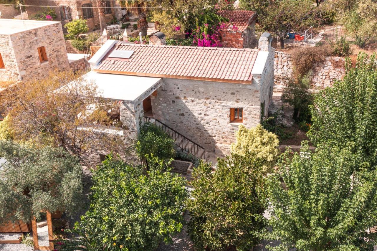 דטקה Ultava Houses מראה חיצוני תמונה