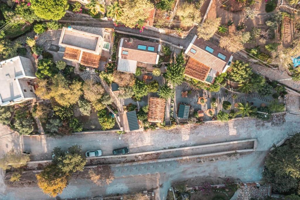 דטקה Ultava Houses מראה חיצוני תמונה