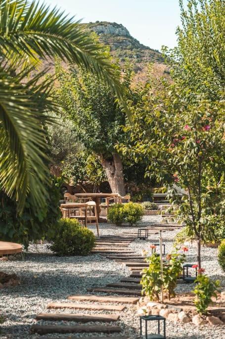 דטקה Ultava Houses מראה חיצוני תמונה